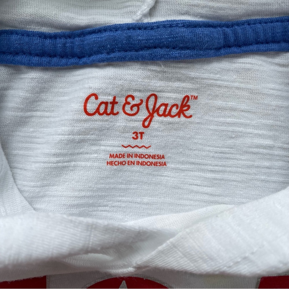 ❗️LAST DAY❗️🇺🇸 4th of JULY SHIRT “USA” Short Sleeve Hooded Tee Shirt 🇺🇸 - Picture 3 of 5